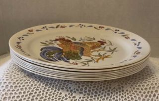 Set Of 7 Corelle Country Morning Dinner Plates 10 1/4 " Sandstone Rooster