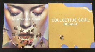 Collective Soul " Dosage " U.  S.  Promo Poster Flat - 12”x12” Album Artwork
