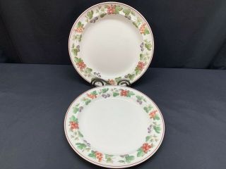Wedgwood " Provence " Queensware Set Of 2 Dinner Plates 10 1/2 "