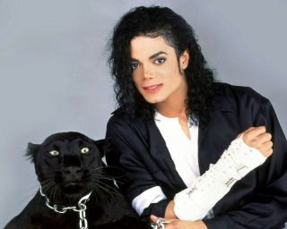 Michael Jackson With Black Panther,  Rare Framed Hq Color Picture 8 " X 10 "