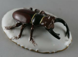 Rare Germany Moldenhauer Rosenthal Porcelain Figure Stag Beetle Bug