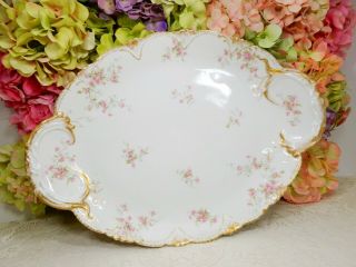 Antique Haviland Limoges Porcelain Serving Platter Pink Roses Double Gold 2