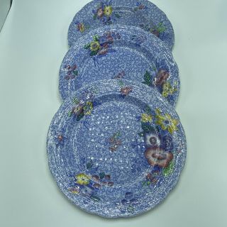 Copeland Spode 10.  5” Plate Large Dinner Wild Flower Blue Colorful Set Of 3