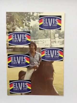 Vintage Candid Photo Of Elvis At Graceland Riding His Horse Bear
