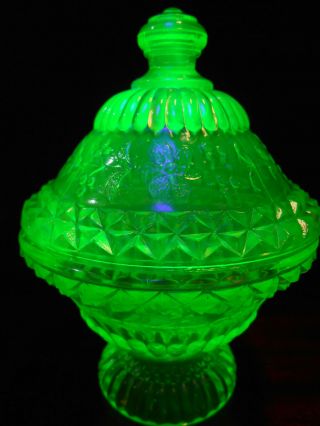 Green Vaseline glass wildflower pattern Covered Candy dish / butter uranium bowl 2