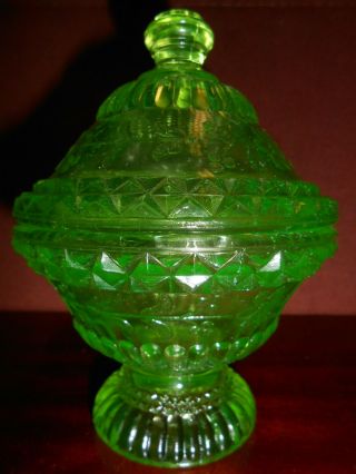 Green Vaseline glass wildflower pattern Covered Candy dish / butter uranium bowl 3