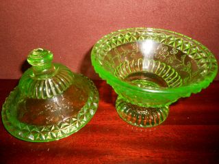 Green Vaseline glass wildflower pattern Covered Candy dish / butter uranium bowl 6