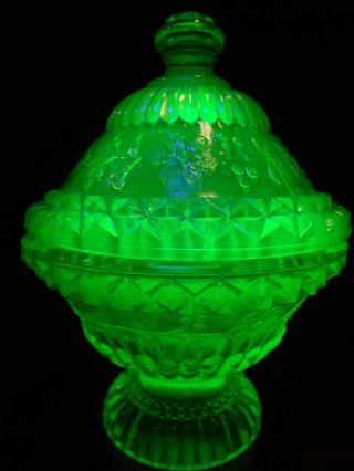 Green Vaseline glass wildflower pattern Covered Candy dish / butter uranium bowl 8