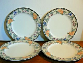 Set Of 4 Mikasa Garden Harvest Dinner Plates