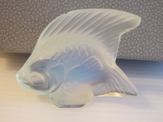 Lalique Crystal Poisson Fish Opalescent Clear Size 1 7/8 " High X 2 " W France