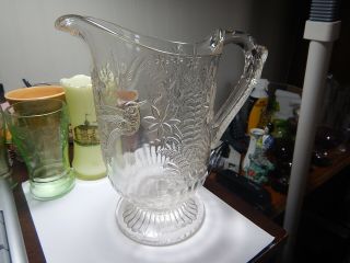 Eapg Pattern Glass Pitcher Hummingbird And Fern Old Estate Scarce Item