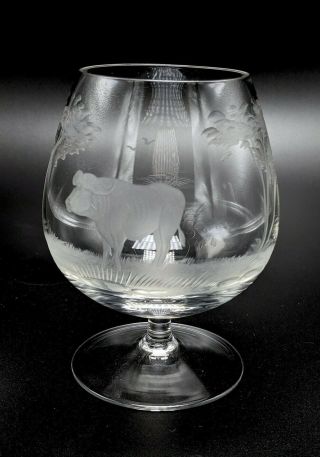 Rowland Ward Etched Glass Brandy Snifter Cognac Big Game Safari Water Buffalo
