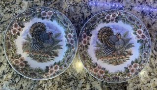 Pair (2) Of Churchill Myott Thanksgiving 10 " Dinner Plates - Near