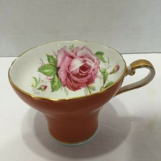 Vintage Aynsley Cabbage Rose Teacup and Saucer 6