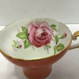 Vintage Aynsley Cabbage Rose Teacup and Saucer 7