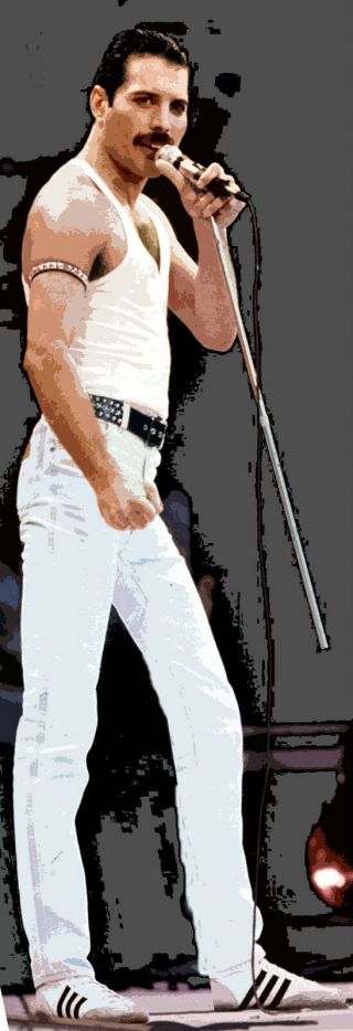 Freddie Mercury Queen Real Life Size Freddie Huge Canvas Retro Art Wow 180cm