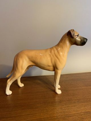 Vintage Beswick Large Great Dane Dog Figurine Champion Ruler Of Ouborough 968
