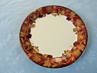 Crate & Barrel Volante Leasy Verge 11 5/8 " Dinner Plate Made In Italy