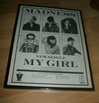 Madness My Girl Two Tone Vintage Press Poster Framed 1979