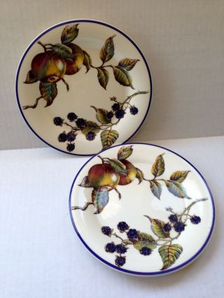 3 Pairs (6 Total) Pier 1 Macintosh Salad Plates Made In Italy 8 Inch Diameter
