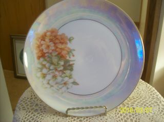 Z.  S.  & Co.  Bavaria Antique Porcelain China Iridescent Fruit Blossom Floral Plate