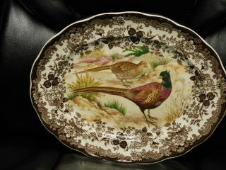 Vintage Royal Worcester Palissy Game Series Pheasant Platter