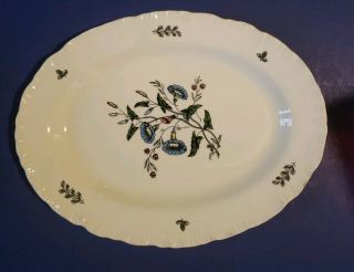 Wedgwood Colonial Williamsburg Wild Flowers - Shell Edge - 11 Inch Oval Platter