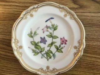 Spode Stafford Flowers Bread And Butter Plate 6 - 1/8 "