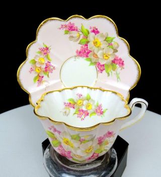 Rosina - Queens 5138a Pink Band White & Pink Flowers 2 1/8 " Flat Cup & Saucer Set