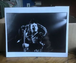 Lene Lovich Rare Live Uk Black And White Press Photo 8 " X 10 " Post Punk Pop