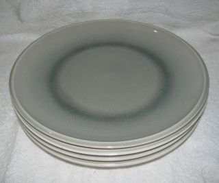 Set Of 4 Pier 1 Imports Dusk Ash 10 3/4 " Dinner Plates Crackle Stoneware