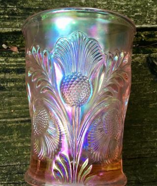 Carnival Rare Color Of Pink In This Inverted Thistle Tumbler Signed Crider