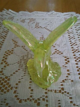 Fenton Glass Yellow Topaz Irredescent Hummingbird figurine 6
