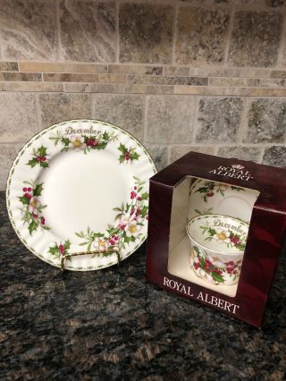 Royal Albert Flower Of The Month December Tea Cup Plate 8” Trio