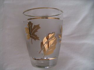 Set Of 10 Mid Century Libbey 4 Oz Glasses Clear Frosted With Gold Rim & Leaves