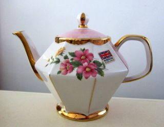 Gibsons Staffordshire Teapot With Rose Flowers Made In England
