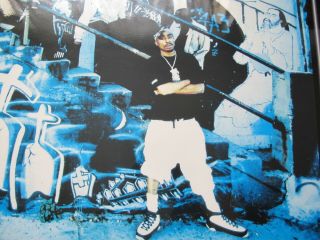 2Pac Tupac Shakur Rap Hip Hop Nike Air Jordan Laminated Poster 2