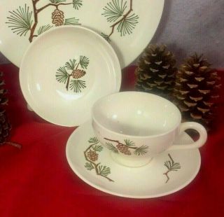 Reserved For Beth 21 Pc Set Stetson Marcrest Misty Pine Cone