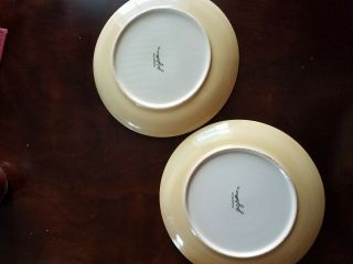 Southern living at home gail pittman siena Set of 2 dinner plates 2