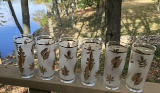 6 Vintage Libbey Frosted Gold Leaf Foliage Mid Century Glasses Water Tumbler Set