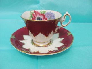 Paragon Burgundy Tea Cup & Saucer Anemone Flower England