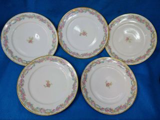(5) Ch Field Haviland Limoges Porcelain 8.  5 " Plates Blue Ribbon Pink Rose 2