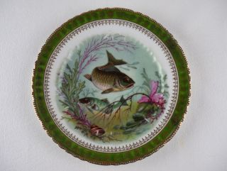 Victoria Austria Fish Cabinet Plate Green & Gold Antique Hand Painted Game Plate