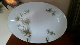Lovely Norcrest Fine China Cascade Pine 14 " Oval Serving Platter Japan