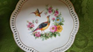 Set Of 8 Antique Pheasants & Flowers Reticulated Porcelain Plates From Germany