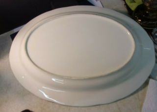 Vintage BIG Turkey Platter Oval 18 1/2 