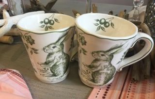 Maxcera Green White Toile Easter Bunny Rabbit Ceramic Mugs Set Of (2)