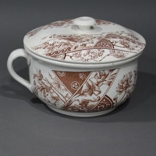 F.  Winkle And Company Transferware Chamber Jar Melbourne Pattern