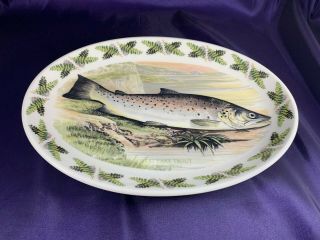 Portmeirion Compleat Angler Fern Oval Steak Plate 10 " - Lake Trout