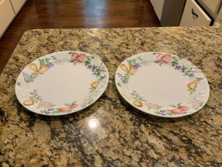 Set Of 2 Corelle Chutney Dinner Plates 10 1/4 " Fruit White Swirl